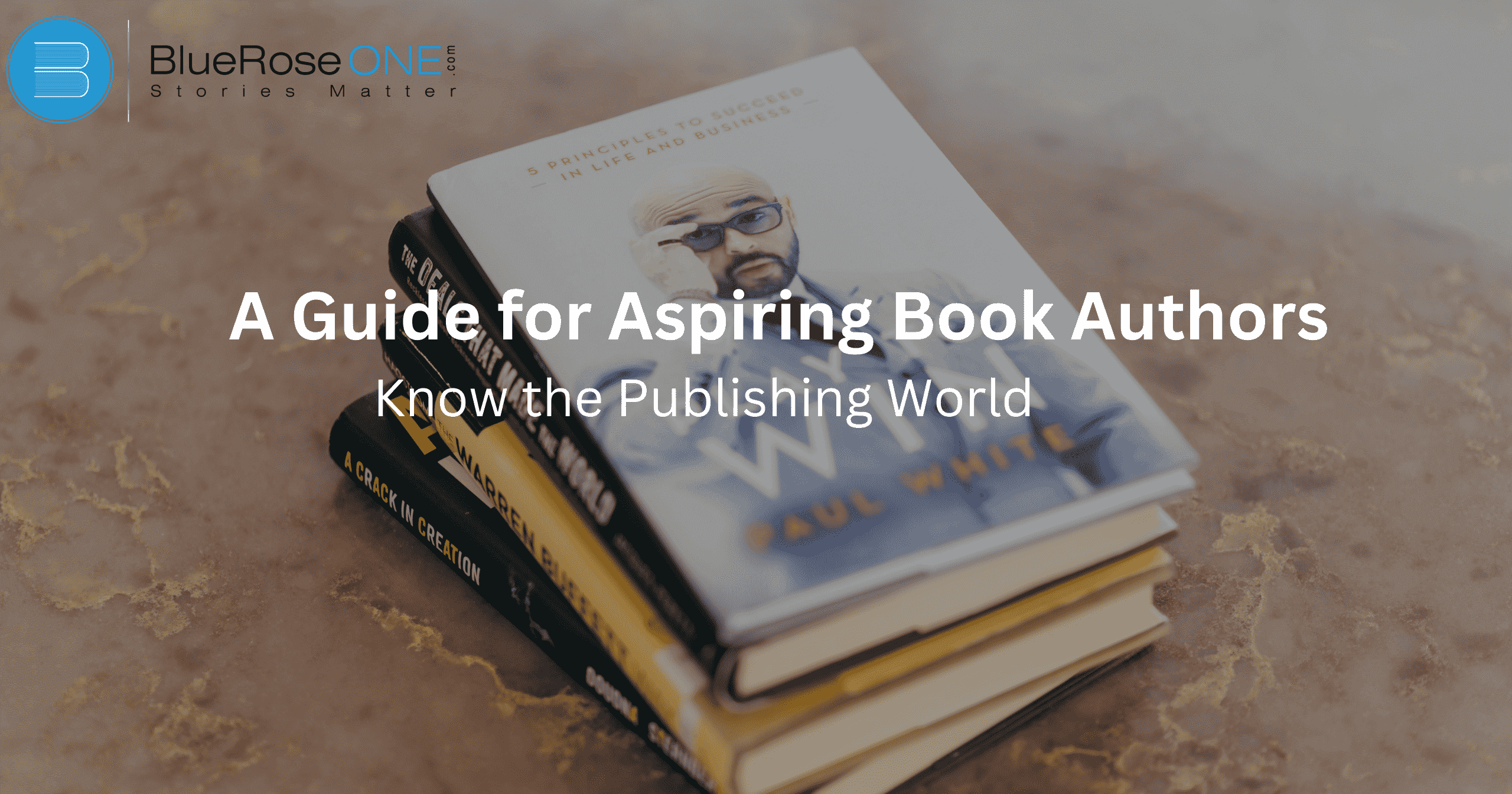 A guide for aspiring book authors