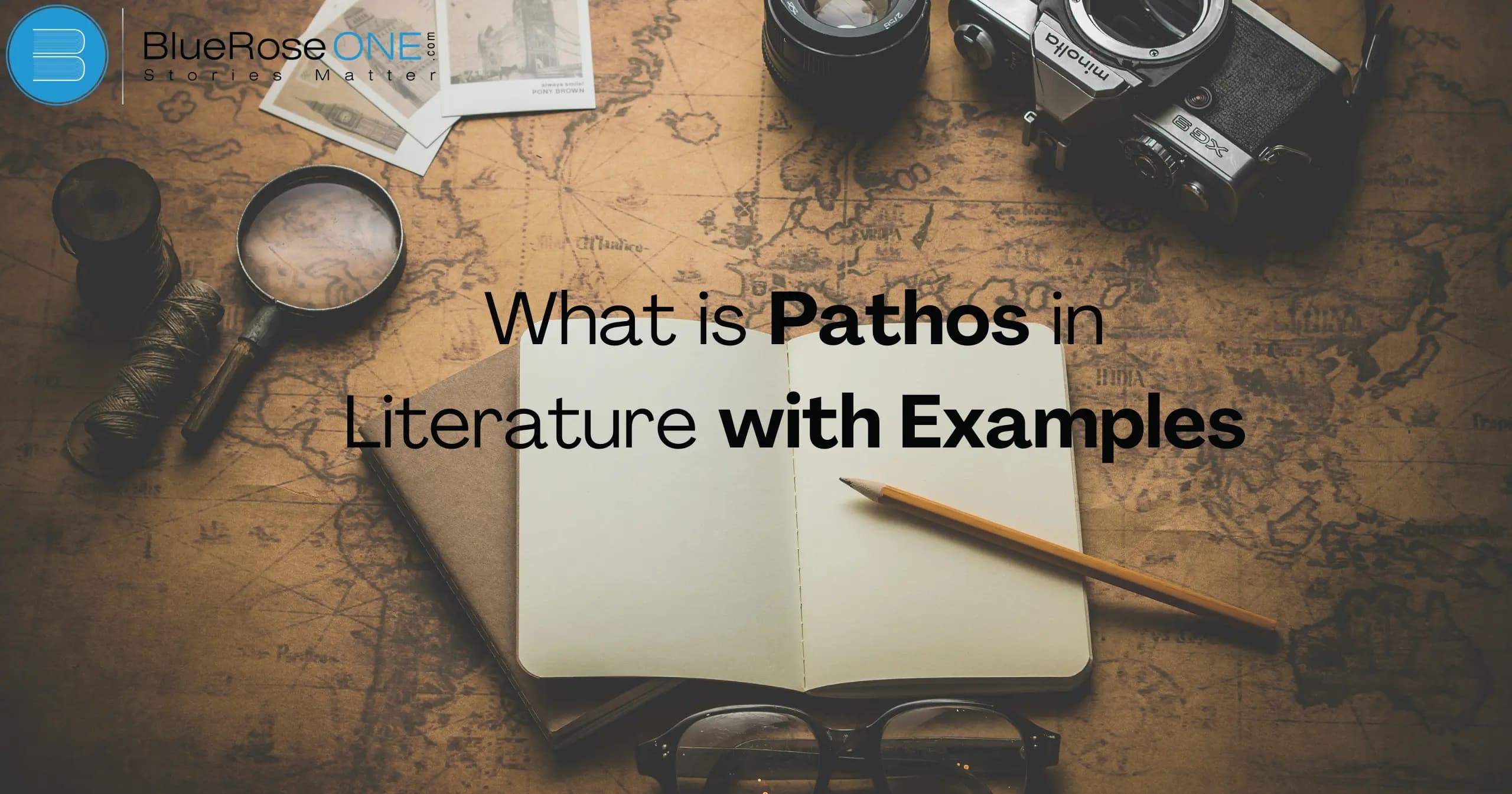 What is pathos in literature with examples