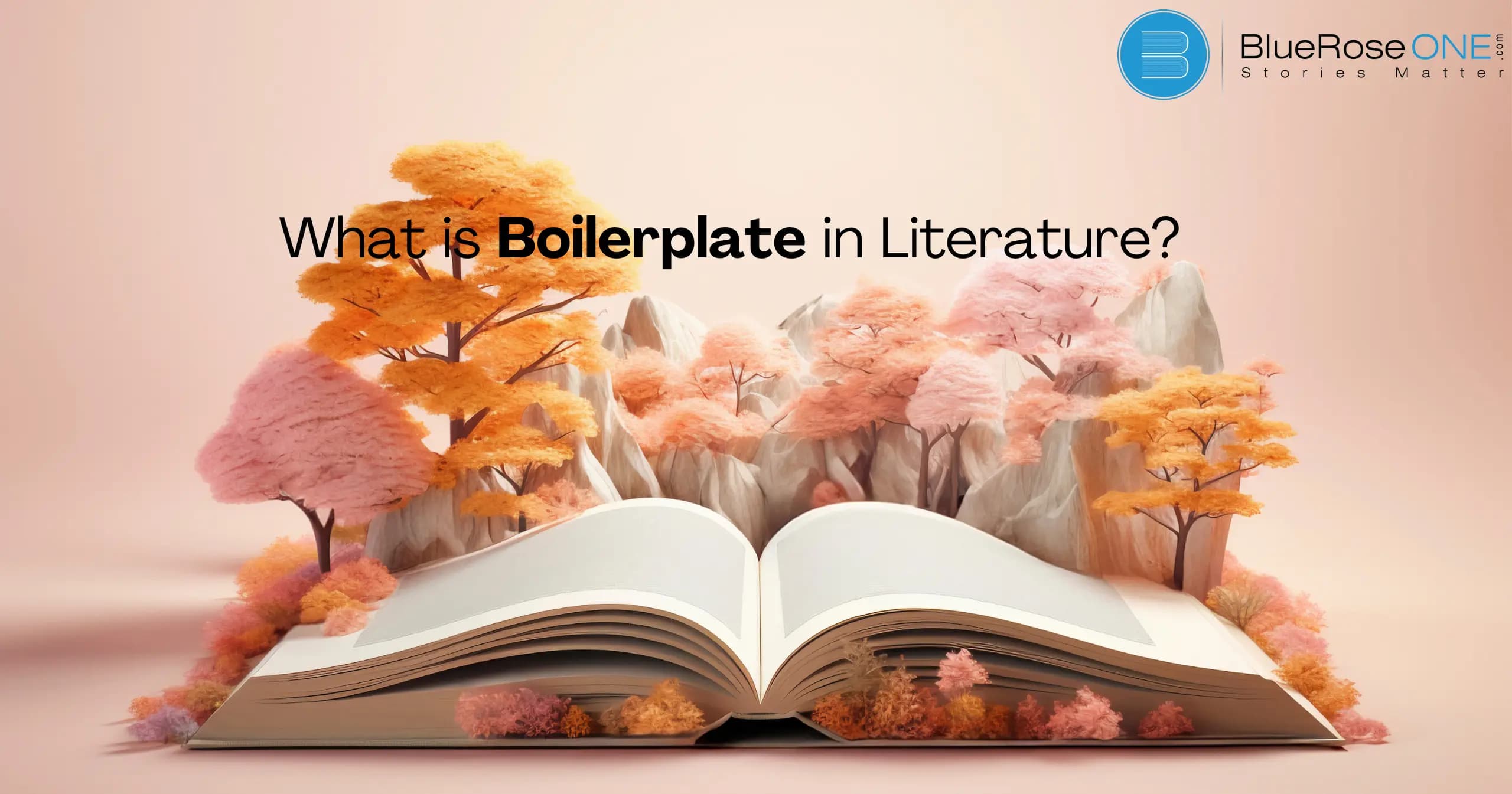 what is a boilerplate in literature
