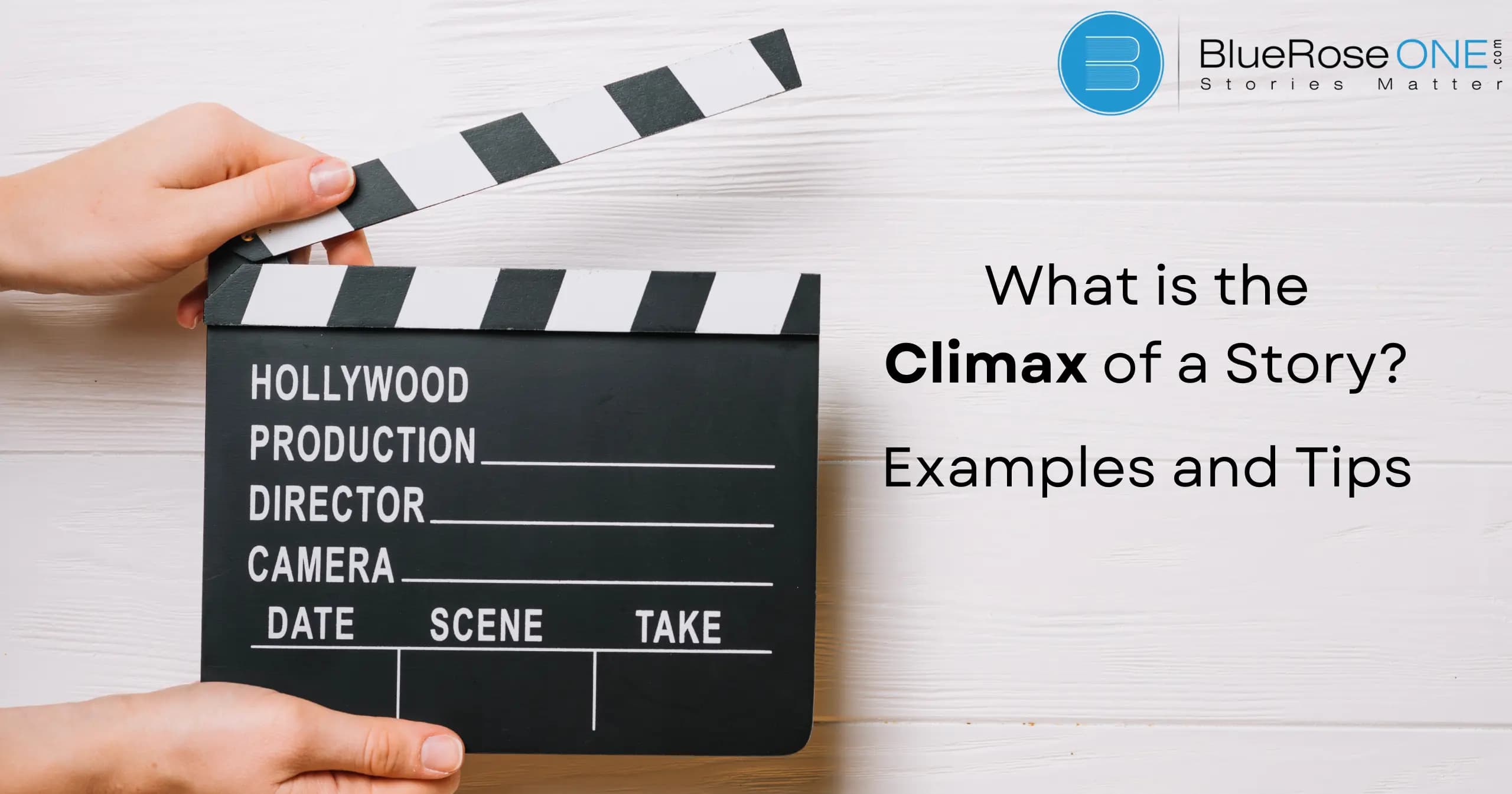What is the climax of a story