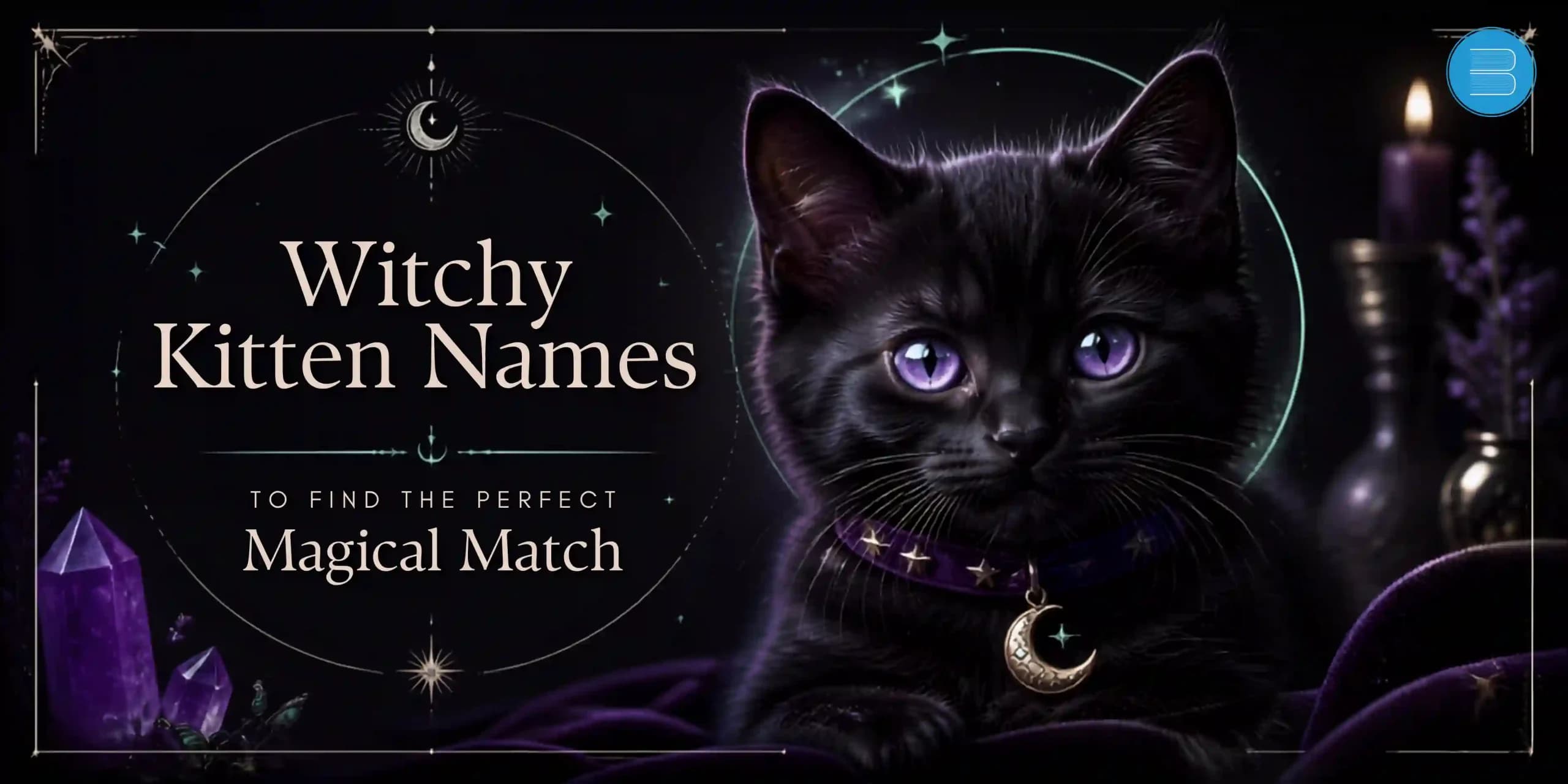 Witchy Kitten Names to Find the Perfect Magical Match