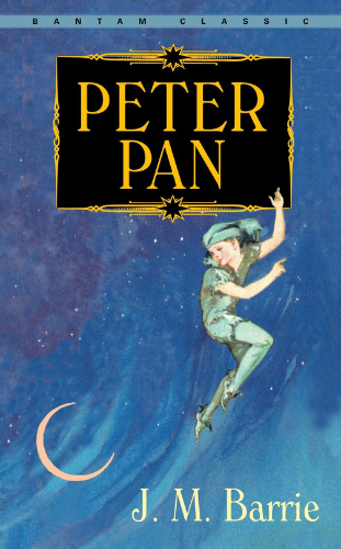 peter pan best children's story books-blueroseone.com