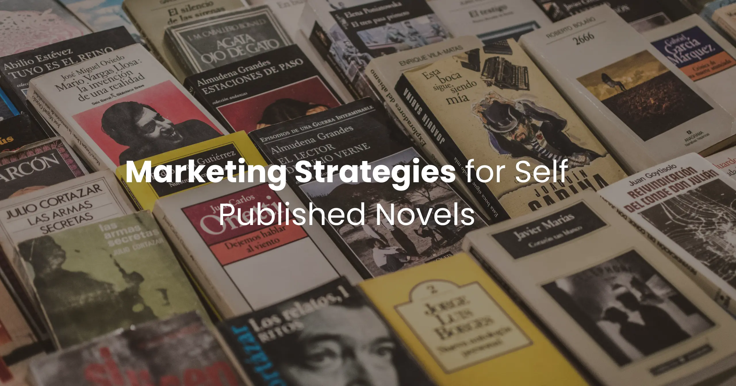 Marketing Strategies for Self Published Novels | Get Noticed