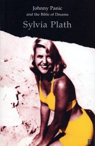 johnny-panic-and-the-bible-of-dreams-slyvia-plath-books