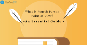 What is the Fourth Person Point of View