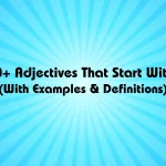 100+ Adjectives That Start With N (With Examples & Definitions)
