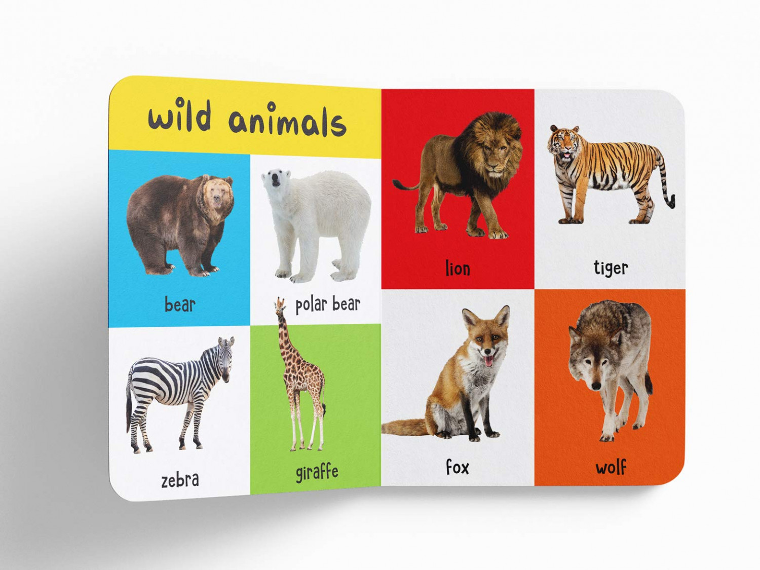 My First 4 In 1 One Wild Animals, Pet and Farm Animals, Birds, Sea Animals:  Padded Board Books